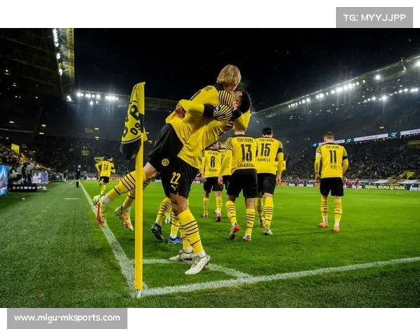 德国足协评估场地安全，裁判与政府协同决策机制