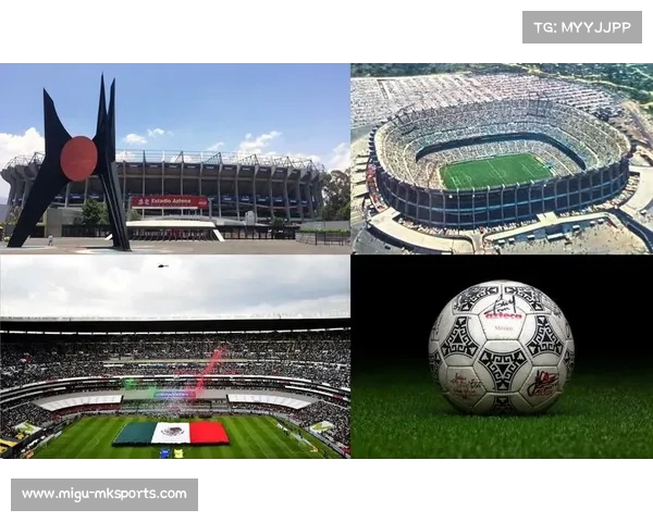 墨西哥萨拉曼卡市足球场枪击案动机仍在调查，相关部门展开搜捕